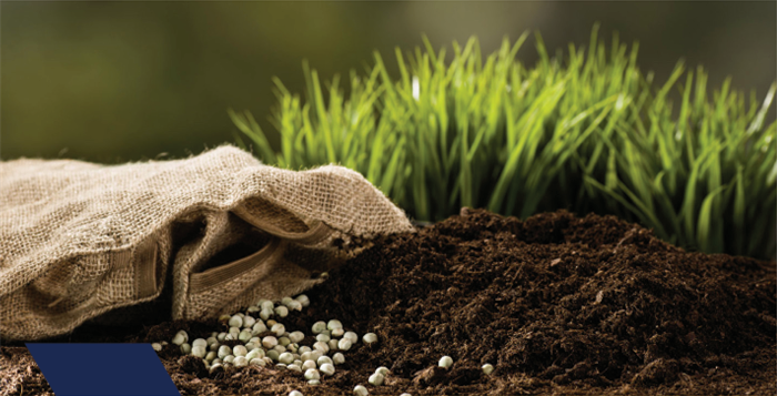 Solo fértil e insumos agrícolas